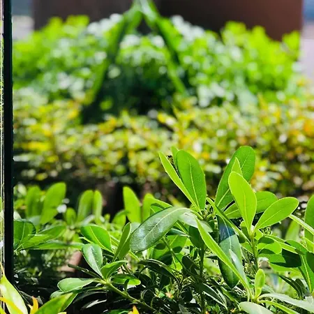 Apartamento Puro Homes *