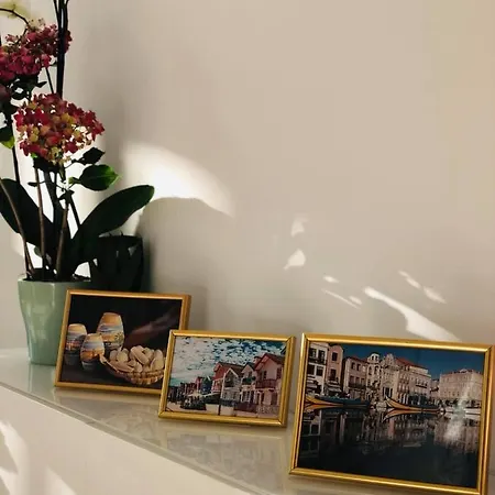 Puro Homes Apartamento