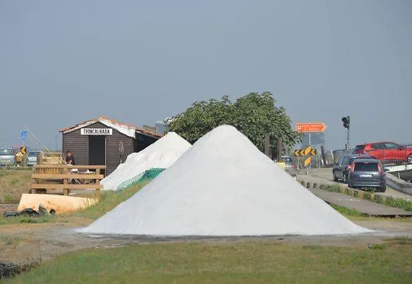 Puro Homes Lejlighed