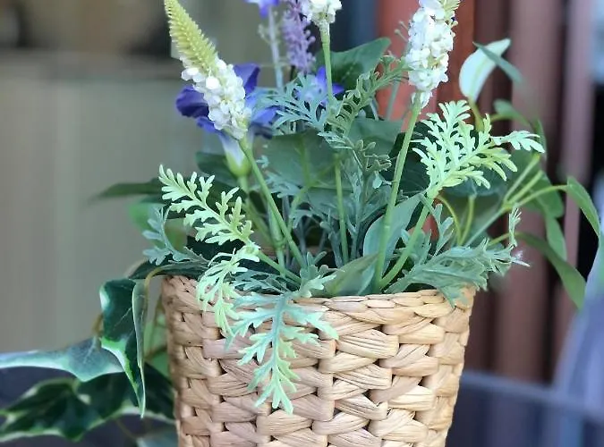 Lejlighed Puro Homes Aveiro